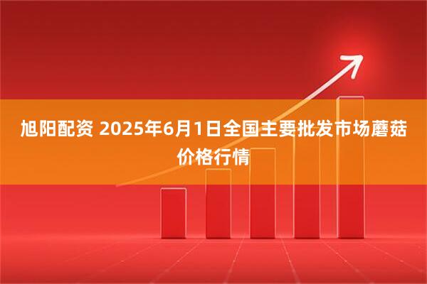 旭阳配资 2025年6月1日全国主要批发市场蘑菇价格行情