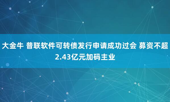 大金牛 普联软件可转债发行申请成功过会 募资不超2.43亿元加码主业