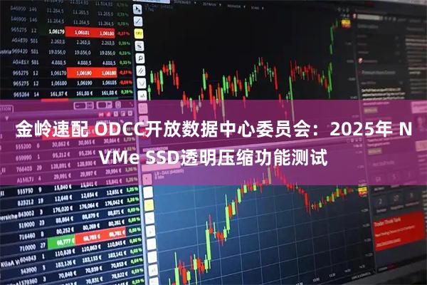 金岭速配 ODCC开放数据中心委员会：2025年 NVMe SSD透明压缩功能测试