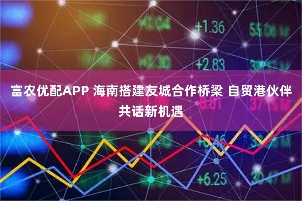 富农优配APP 海南搭建友城合作桥梁 自贸港伙伴共话新机遇