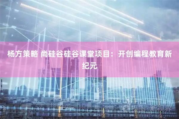 杨方策略 尚硅谷硅谷课堂项目：开创编程教育新纪元