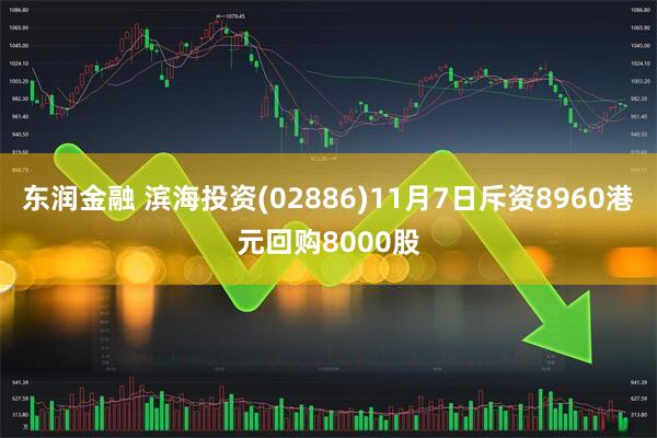 东润金融 滨海投资(02886)11月7日斥资8960港元回购8000股
