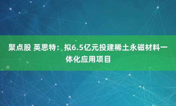 聚点股 英思特：拟6.5亿元投建稀土永磁材料一体化应用项目