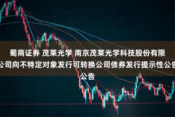 蜀商证券 茂莱光学 南京茂莱光学科技股份有限公司向不特定对象发行可转换公司债券发行提示性公告