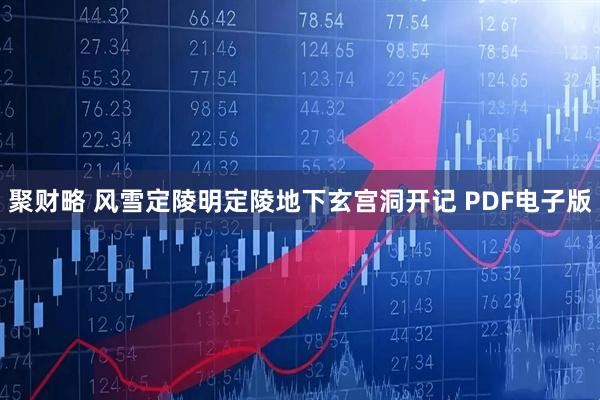 聚财略 风雪定陵明定陵地下玄宫洞开记 PDF电子版